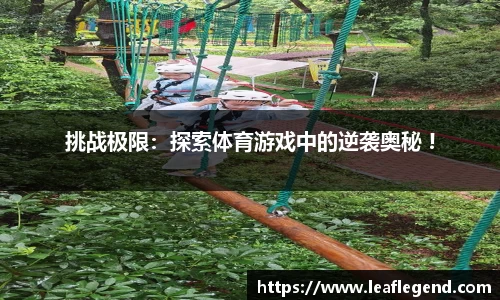集团体育
