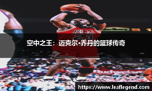 空中之王：迈克尔·乔丹的篮球传奇